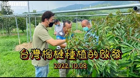 台灣榴槤種植的啟發_20221008 - 天天要聞