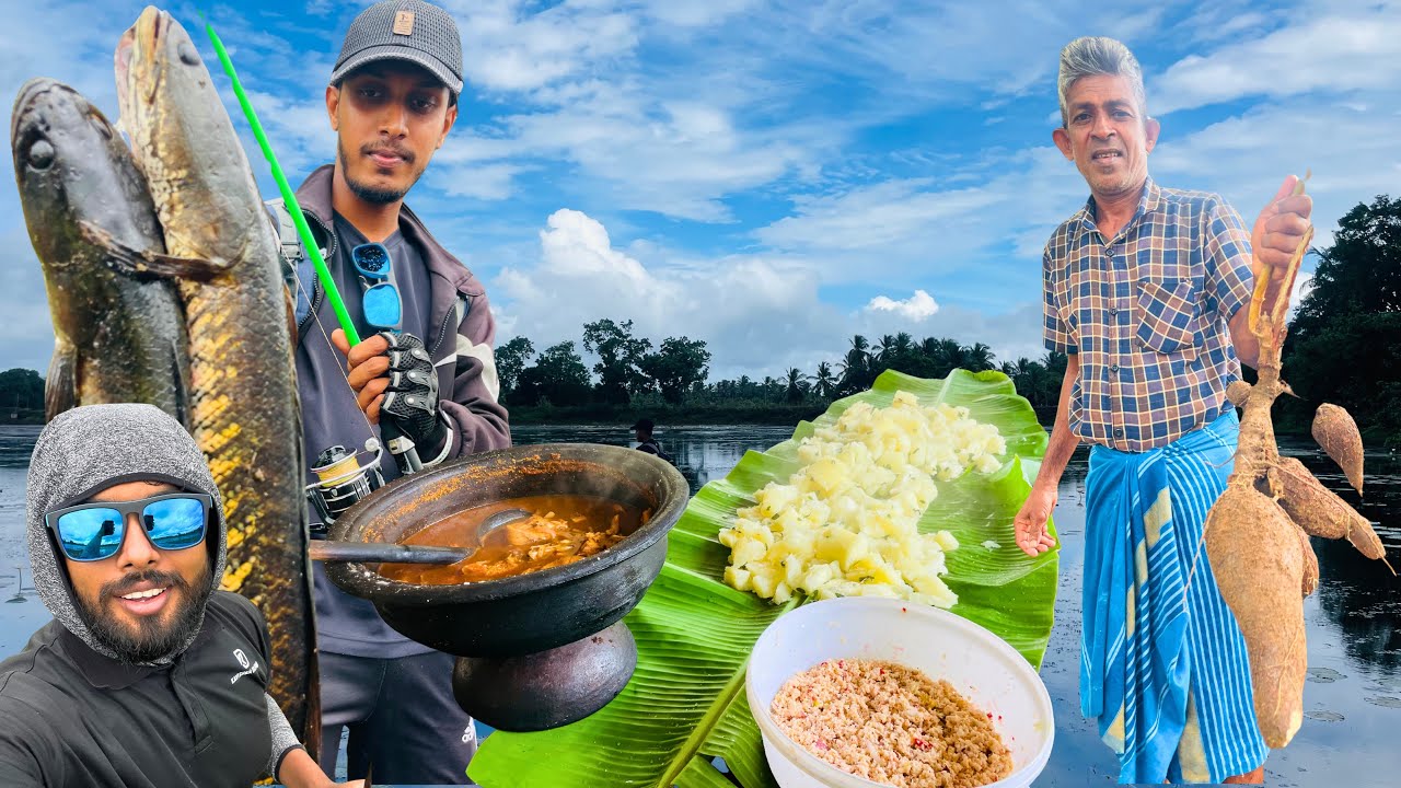 🐟අලි වනයේ ගත් ලුල් කරිය 🐘🥘|Snakehead Fish🐟Part - 02 @Kavishkadilshanwijayarathna 