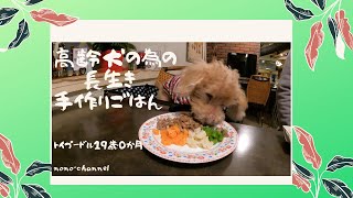 かんたん！　愛情たっぷり老犬の長生き手作りごはん