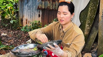 "Cá lau kiếng nướng muối ớt" Ẩm thực miền Tây #vinhlong #amthuc #mientay #chill 