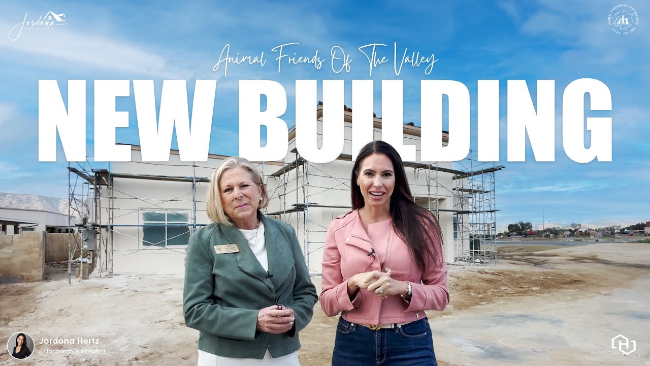 Inside the New Animal Friends of the Valley Clinic: Your Exclusive Tour and How to Help!