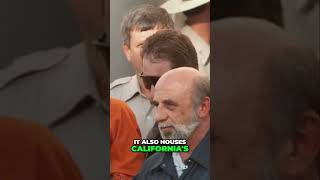 Celebrity Inside San Quentin: The Largest Death Row in America Profile