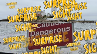 Lighthouse surprises & Shipwrecks! A Windy Vanlife Coastal Hike to St Mary’s Lighthouse and beyond!