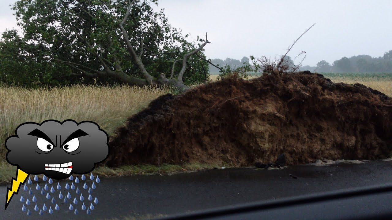 Orkanböen bei Lingen (Ems) | Gewittersturm über Niedersachsen, 2. Juli 2025