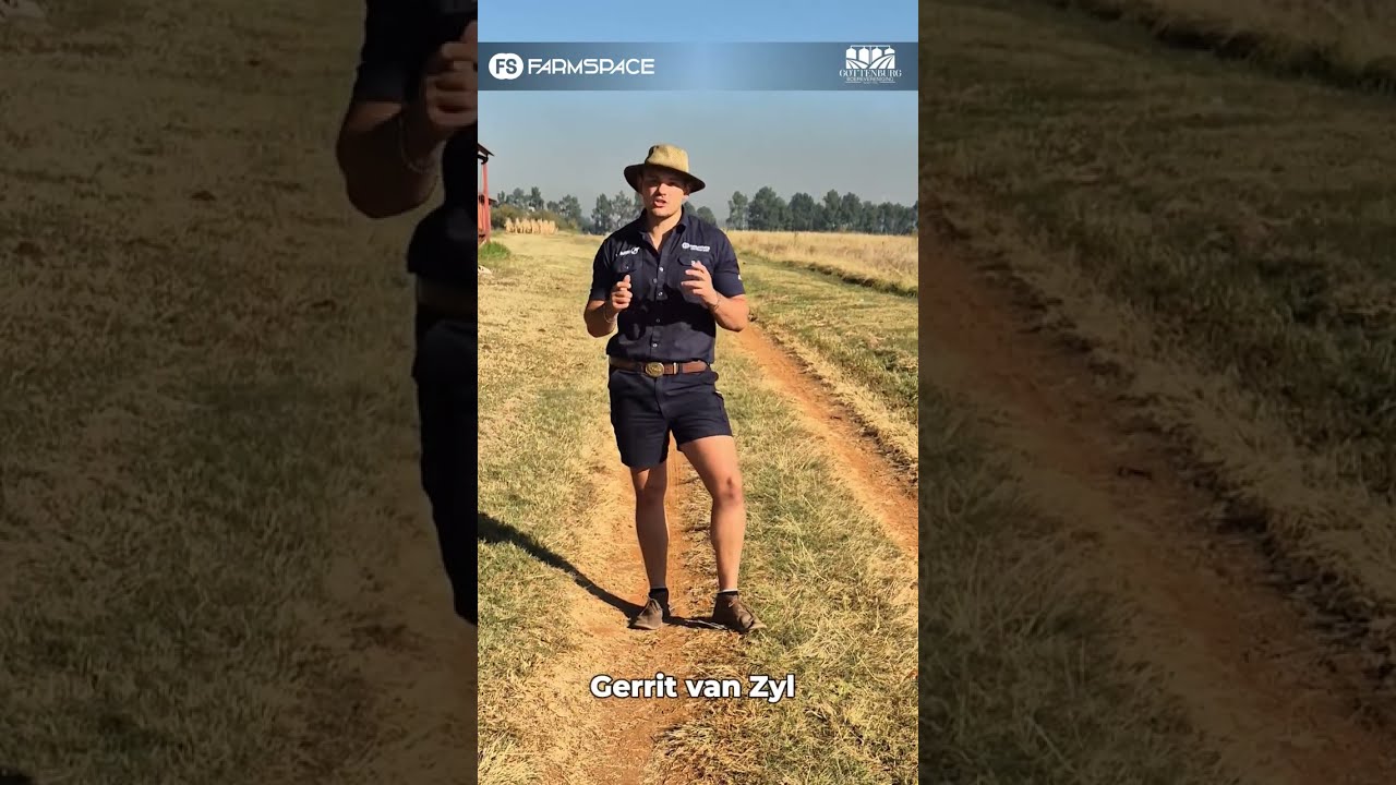 Het jy al jou kaartjies vir die Gottenburg Bees dag?