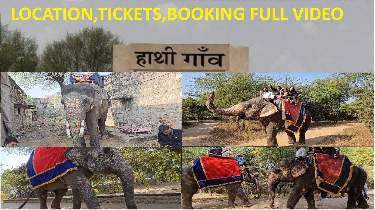 हाथियों का गाँव | hathi gaon jaipur |Elephant Village Jaipur | Full Information | TRAVEL WITH BHARAT