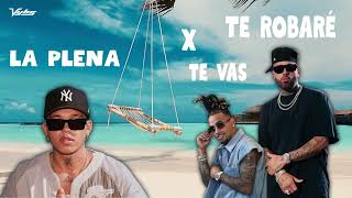 LA PLENA x TE ROBARÉ x TE VAS (Vybs mashup) [Beéle, Ozuna, Nicky Jam]]