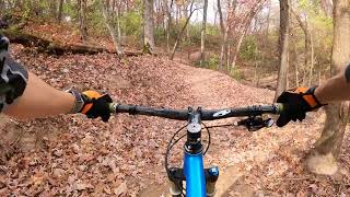 Willow River State Park - MTB: Large Mouth trail