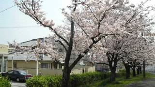 Video voorbeeld van ""春が来た" (Haru Ga Kita) - "Spring Has Come""