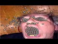 Terraria Calamity Expert Death Nohit (watch this dunk) - The Destroyer
