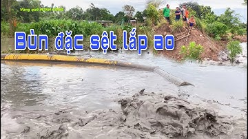 Bùn đặc sệt lắp ao lên bùn khủng hoảng | Vùng quê MINH CÔNG