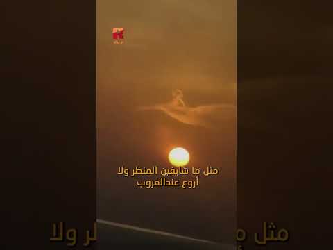 طفل على ظهر طير