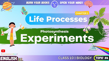 Photosynthesis Experiments Activities - English | Class 10 | Science | Biology | Chapter 1