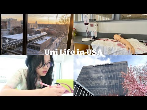 Video /eng/ 24h Đi học ở Mỹ (nhận học bổng, trường y tá/điều... - YouTube