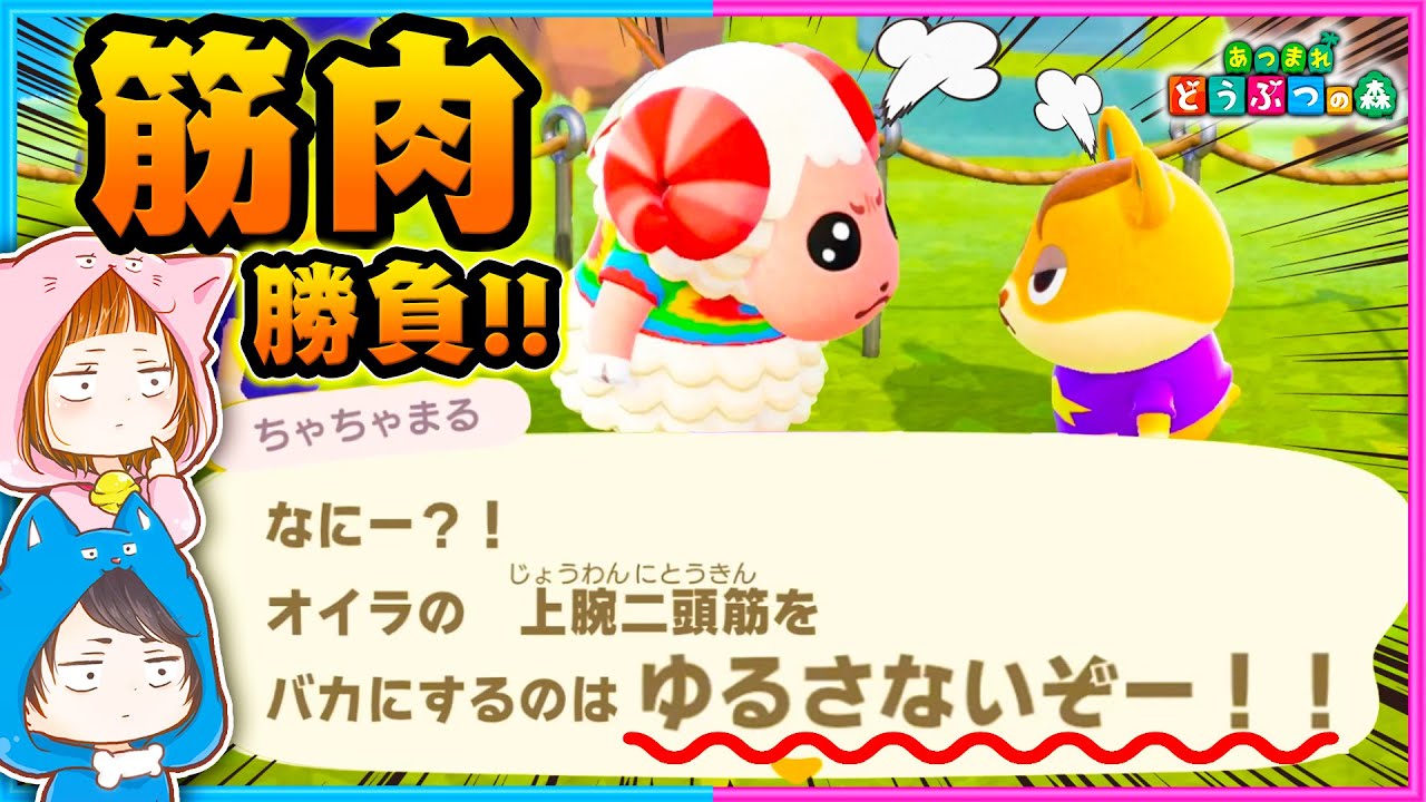 ちゃちゃまるVSハムスケの熱い筋肉バトル！【ちゃちゃまる/ハムスケ】【あつまれどうぶつの森/AnimalCrossing】