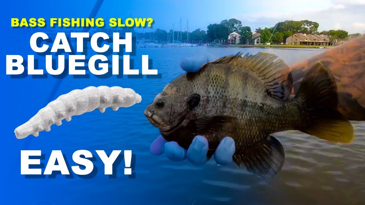 What to do when Bass fishing is SLOW!