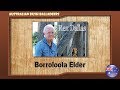 Rex dallas  borroloola elder