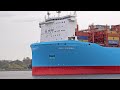 NEW 349m CONTAINER SHIP ANE MAERSK LEAVES THE PORT OF HAMBURG GERMANY - 4K SHIPSPOTTING MARCH 2024