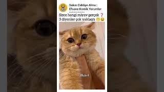 Sizce Hangi Miyav Gerçek 3 Diyenler Çok Yaklaştı