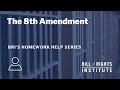 The eighth amendment  bris homework help series