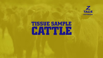 Z Tags Tissue Sampler