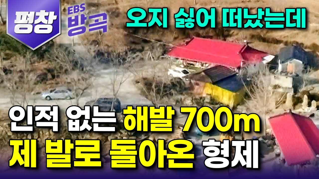 [강원 평창] 툭하면 영하 20°C! 수도관 터지는 게 일상인 해발 700m 산골짜기, 더는 오지 살기 싫다고 도시로 떠나더니 제 발로 돌아온 형제｜흑염소｜#한국기행 #방방곡곡