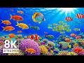 Aquarium 8K Ultra HD - Stunning Coral Reef Fish with Relaxing Meditation Music for Sleep