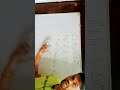 NCERT FULL SOLUTION (3rd April)
