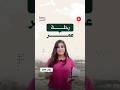 زوجان يخبزان الحياة والفطائر منذ 37 عاما 