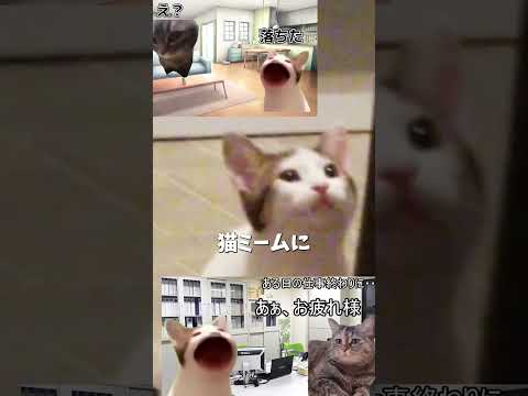 パクパク猫 について解説 #猫ミーム #popcat