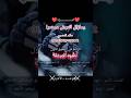نشيد المرحله 13 01 2025