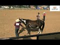Horse Events - 2025 Sheridan County Fair