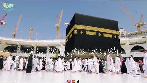 تلاوة خاشعة من سورة البقره بصوت القارئ ابراهيم بن أدهم