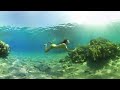 3d vr underwater experience  shot with vuze camera underwater case