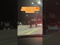 Motorcycle 🏍️ accident #accident #highway #motorcycle