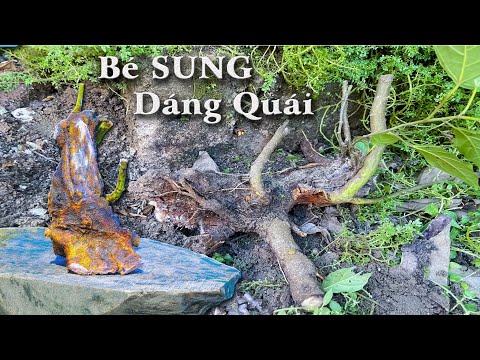 Video Tìm cây Bờ Tường - Cậu Bé Sung dáng Vẫy Tay Chào - youtube
