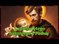 ✝️ Odkryj Cuda Świętego Antoniego z Padwy! 😇