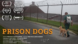 Prison Dogs | Documentary | Trailer | Epoch Cinema
