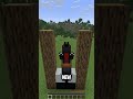 Everything about Minecraft Horses