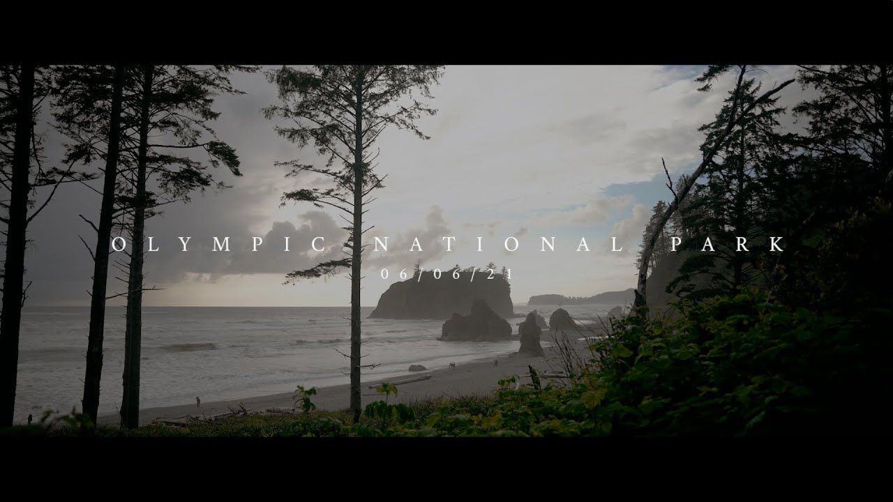Olympic National Park Elopement Film - Sylvia + Jonny