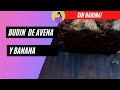 ✅COMO HACER BUDIN DE BANANA Y AVENA - BUDIN SIN HARINA - 😱- RECETA FACIL Y RAPIDA! - MADDI FOX