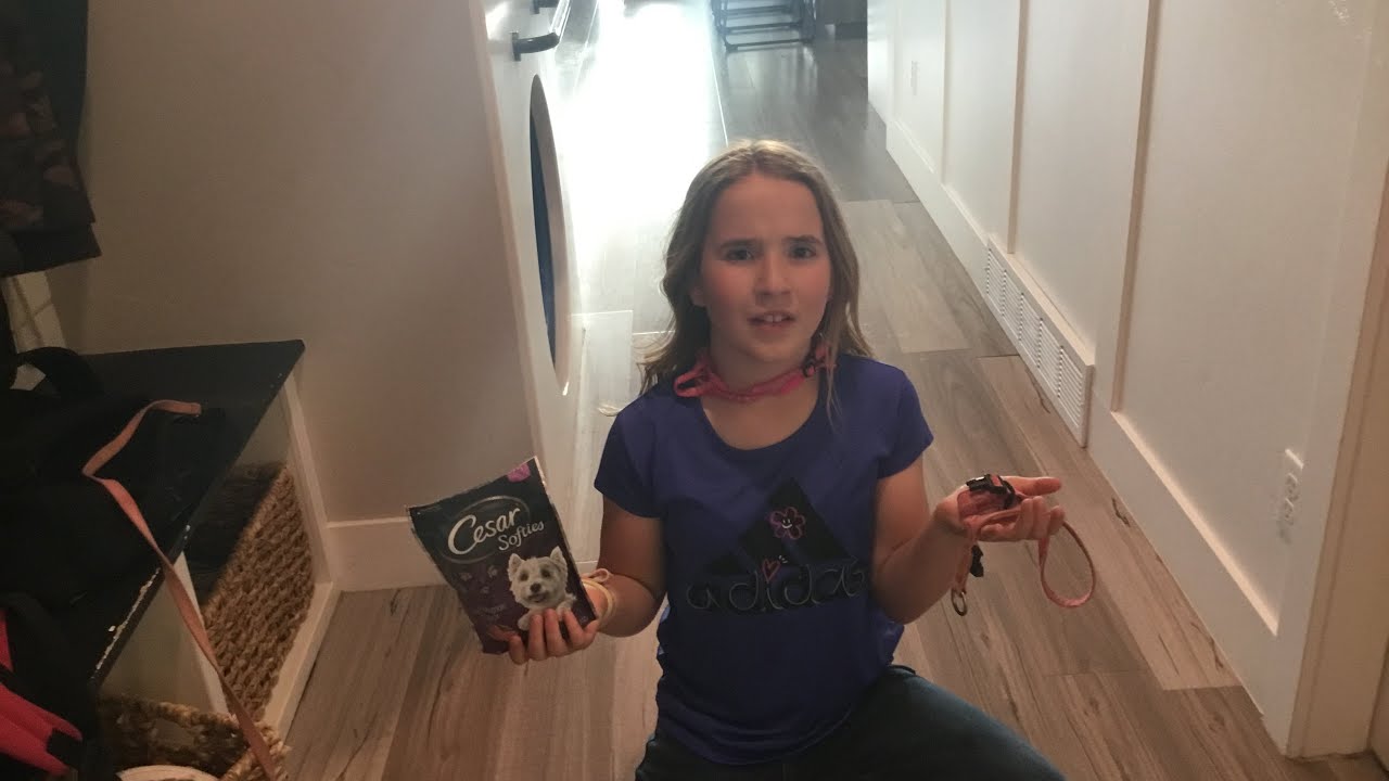 Poor girl forced to act like a dog as an April fools joke