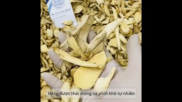 Củ Đinh Lăng Khô