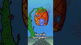 Why SpongeBob’s House Is a Pineapple — The Salvador Dalí Connection