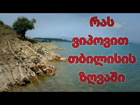 რა ორგანიზმები ცხოვრებენ თბილისის ზღვაში?