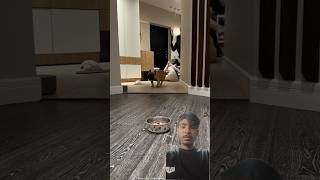 thanks for watching #funny #viral #facts #shortvideo #viralshort #comedy #vlog #business