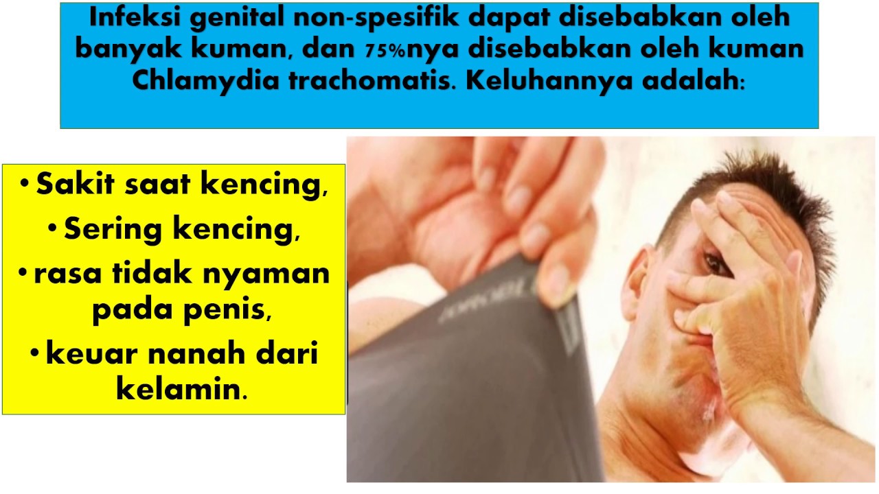 penyakit kencing nanah 