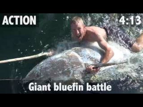 GIANT BLUEFIN TUNA ON A HANDLINE! 