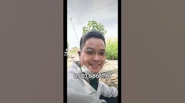 Bán 330m2 đất thổ cư xã Phước Lâm Cần Giuộc giá 1 tỷ 600 thương lượng. #ban330m2cangiuoclongan