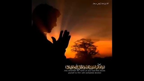 القارئ: عبدالرحمن مسعد ♥. الآية (واذكر اسم ربك وتبتل إليه تبتيلا). 26ثواني.